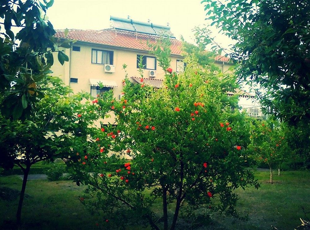 Mjull-Bethore Hotel Viktoria Tirana מראה חיצוני תמונה